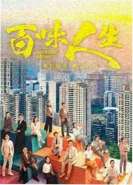 暗夜法则 电视剧 2024